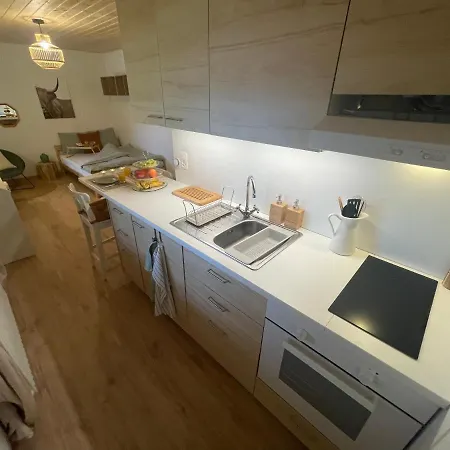 Avec Sauna - 300m Des Pistes Apartmán Leysin