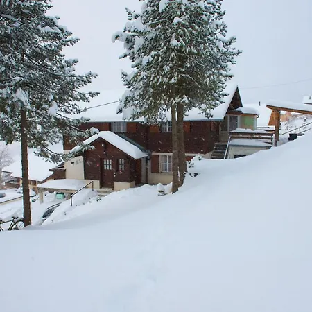 Cosy Avec Sauna&terrasses Alpines *