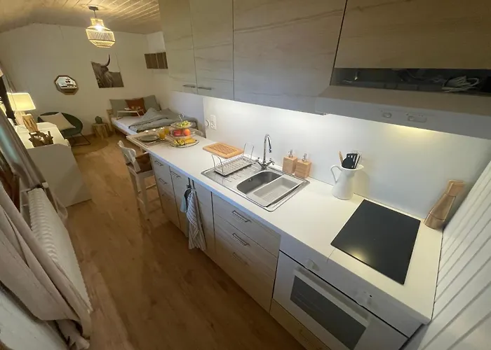 Avec Sauna - 300m Des Pistes Apartament Leysin