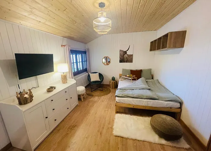 Avec Sauna - 300m Des Pistes * Leysin