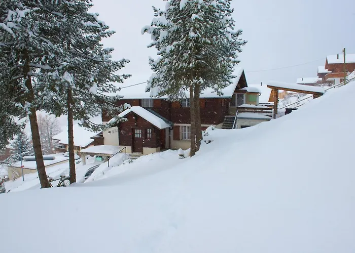 Avec Sauna - 300m Des Pistes *
