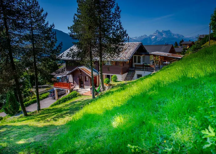 Avec Sauna - 300m Des Pistes Apartament Leysin