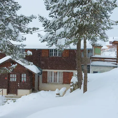 Serpolet - Leysin