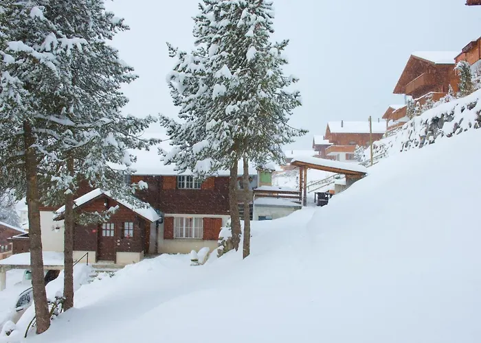 Avec Sauna - 300m Des Pistes Lägenhet Leysin