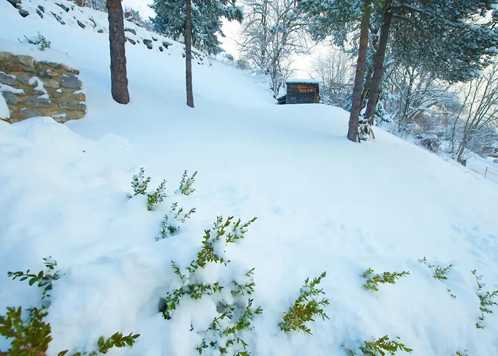 Avec Sauna - 300m Des Pistes *
