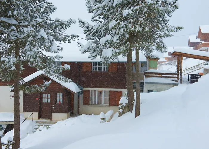 Avec Sauna - 300m Des Pistes Leysin