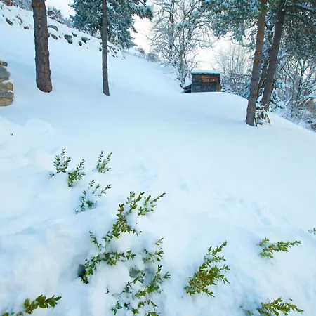 Cosy Avec Sauna & Terrasses Alpines *
